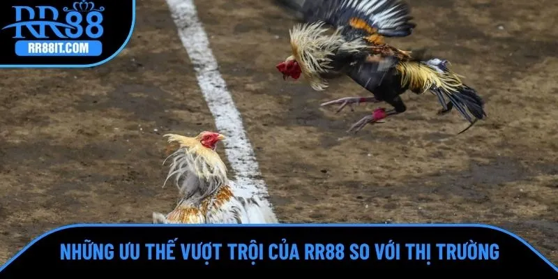 Những ưu thế vượt trội của RR88 so với thị trường